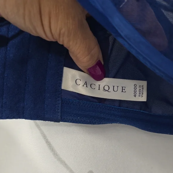 Chic Blue Lace Underwire Bra - Picture 2 of 6